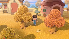 An Animal Crossing: New Horizon screenshot. A small toy-like Animal Crossing character stands in a golden yellow and orange wooded area outside a dinky little house. Autumn is here.