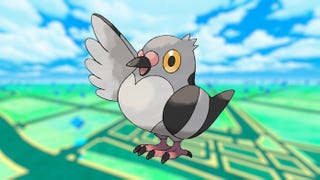 Pidove on a light city background