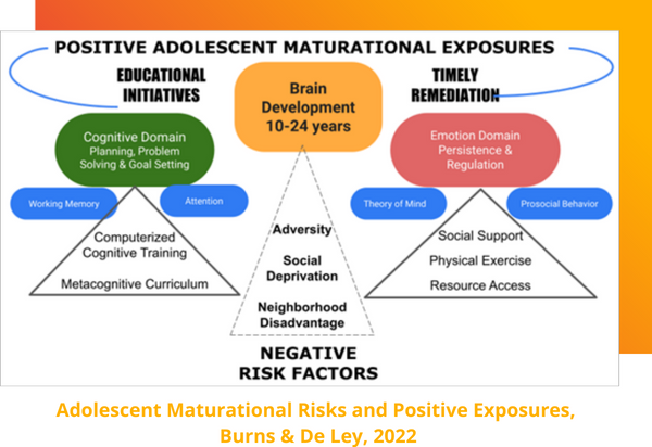 Adolescent Cognitive Risks and Opportunities